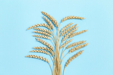 Spike of wheat close up. Cereal crop. Rich harvest creative concept.  Top view and copy space.