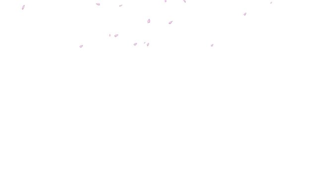 桜花2_アニメ風パーティクル
画面一杯にアニメ風の花びらが舞落ちる。