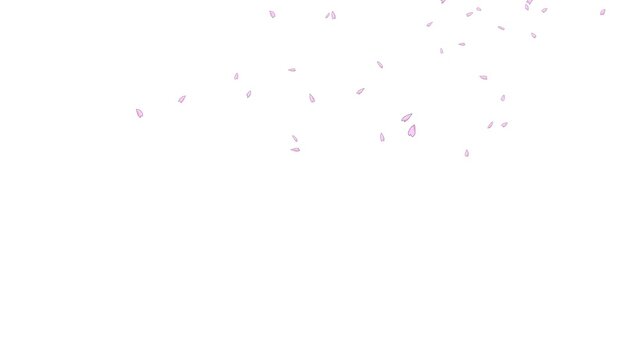 桜花1_アニメ風パーティクル
斜めに花びらが舞落ちる。