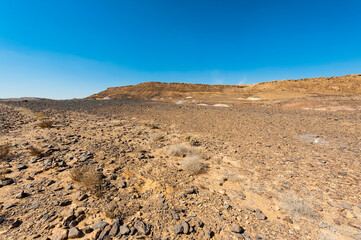 Whimsical Patterns of the Desert