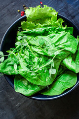 green salad spinach, arugula, lettuce, microgreen Menu serving size. food background top view copy space for text organic 