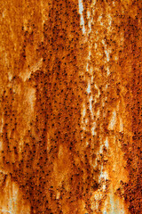 錆びた鉄板の表面 Wall Mural Wallpaper Murals Wallsheaven Vito