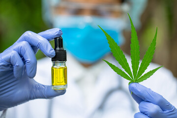  Doctor holding a bottle of hemp oil, Medical marijuana products including cannabis leaf, cbd and hash oil, alternative remedy or medication,medicine concept.