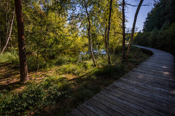 Nature reserve Pfrunger-Burgweiler-Ried in autumn