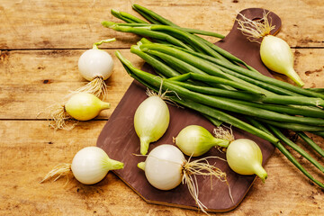 Fresh young onion and its greens. Traditional ingredient for cooking