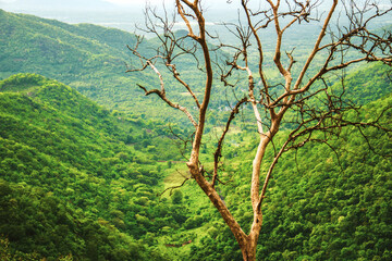 Obraz premium beautiful landscapes at lambasing vizag