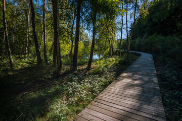 Obraz premium Nature reserve Pfrunger-Burgweiler-Ried in autumn