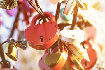 Many wedding colorful locks on a wedding tree. Symbol of  love, marriage and happiness.