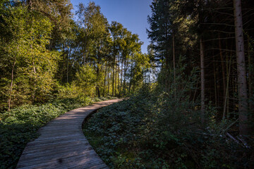 Nature reserve Pfrunger-Burgweiler-Ried in autumn