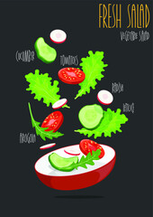 Fresh salad with radishes, tomatoes and cucumbers. Vector illustration