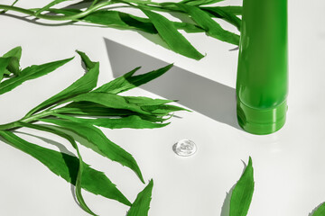 A tube of green with a transparent aloe vera gel. On a white background among green leaves