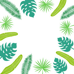 Tropical leaves frame: fan palm, coconut palm, banana leaf, monstera. Isolated objects on a white background. Set of palm leaves. Image for your decor and design. Place for an inscription. Copy space.