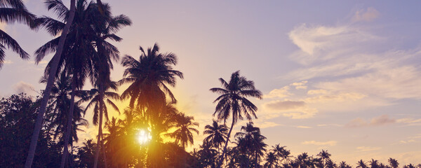 Fototapeta na wymiar Tropical sunset with coconut palm trees and sky.