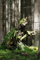 Mysterious forest ghost - natural wooden sculpture in the forest