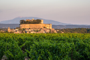 Fototapeta na wymiar Château de Grignan, vineyards, Mont Ventoux and the end of the evening