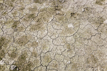 Cracked land