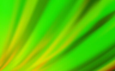 Light Green vector blurred shine abstract texture. Colorful illustration in abstract style with gradient. New style for your business design.