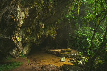 river in the florest