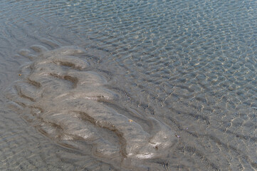Water Patterns in Surf and Sun Reflections 1