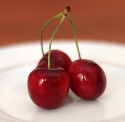 Fresh sour cherries in a wihte plate and green leaves on the board. Fresh ripe sour cherries.