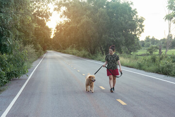 Asian woman with her golden retriever dog walking on the public road..