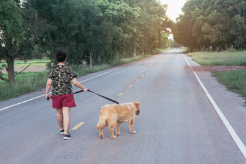 Asian woman with her golden retriever dog walking on the public road..