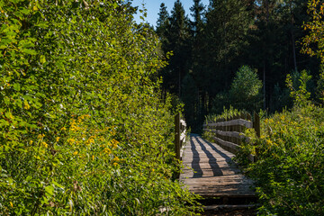 Nature reserve Pfrunger-Burgweiler-Ried in autumn