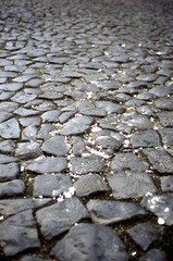 Scherben auf Kopfsteinpflaster (Analog)