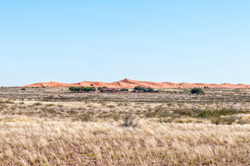 Farm scene, with sand dunes, in the Kalahari Desert of Namibia