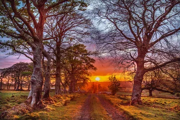 Fotobehang Bordeaux Ierse landschappen  © Creative Landscapes