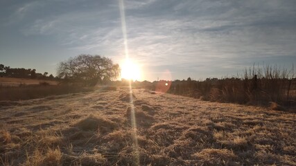 Breathtaking sunrise over a frosted grass field landscape on a cold winter's morning in South Africa.