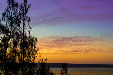 Fototapeta na wymiar Tree silhouettes on a sunset sky background.
