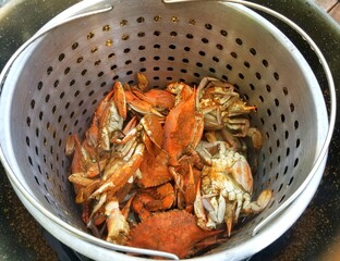 A steamer filled with cooked blue crabs sprinkled with salt and old bay seasoning