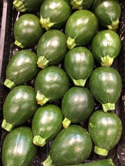 zucchine bombetta rotonde 