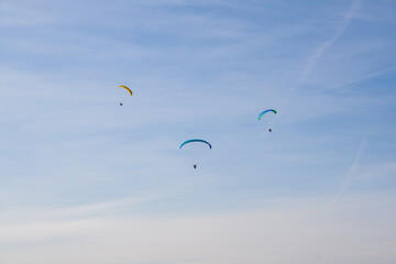 Paragliders