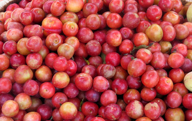 Plum Fruits in the Market,Isolated plum Fruits, it is a fruit of the subgenus Prunus of the genus Prunus.