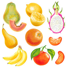Lemon, orange, mandarin tangerine papaya, dragon fruit, pear, banana with leaves hand drawn watercolor marker illustration. Colorful set.