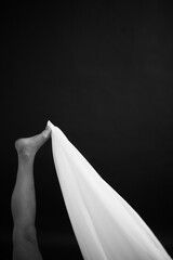 The girl in the veil, black and white studio photo of beautiful girl,details of body