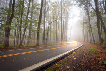 Fototapeta premium road in the woods traffic time lapse photography