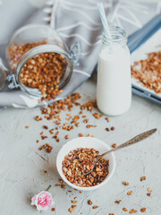 Organic homemade granola сereal with oats and walnuts. Healthy snack.