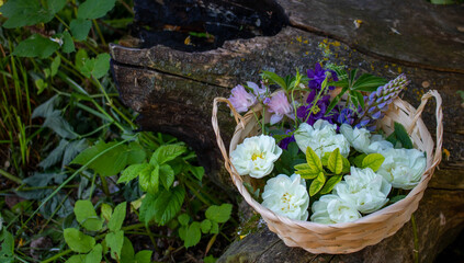 Flowers in a basket on an old burnt snag on a background of green grass