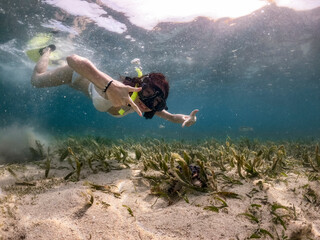 Naklejka na ściany i meble woman snorkeling happily see starfish among coral and reef under the sea. 