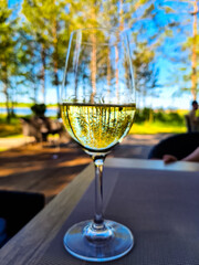 reflection of pine trees in a wine glass