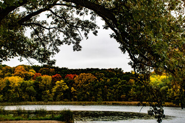 autumn in the park