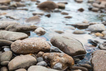 forest river stones at sunset