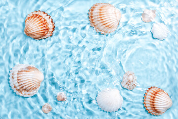 Beautiful crystal clear water swirling and rippling, sea shells underwater. World ocean day card with shells and blue water