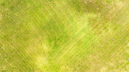 Detail of a field useful for textures and patterns.