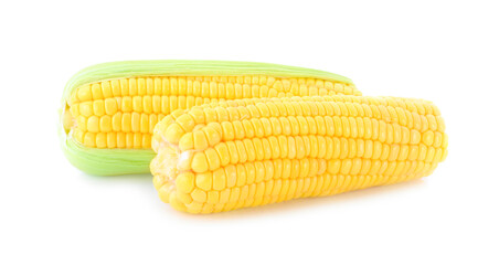 sweet corn isolated on white background