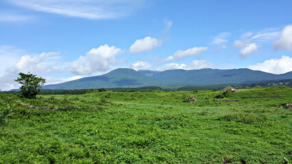 Obraz premium 한국 제주도 한라산 풍경
