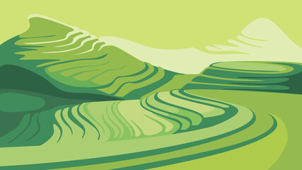 Landscape with rice terraces. Beautiful agricultural scenery.